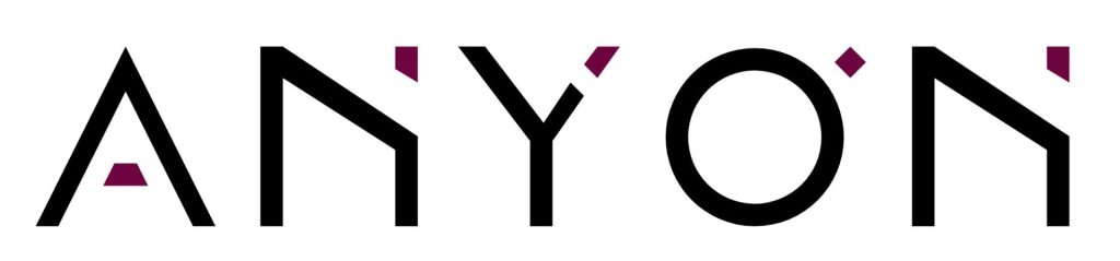 Anyon Systems