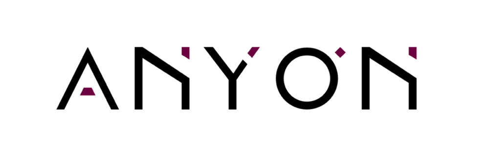 Anyon-Systems